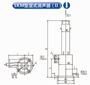 益阳SKM湿式消声器(II)