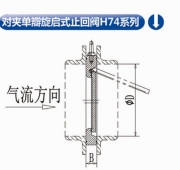 衡阳对夹单瓣起旋式止回阀H74系列